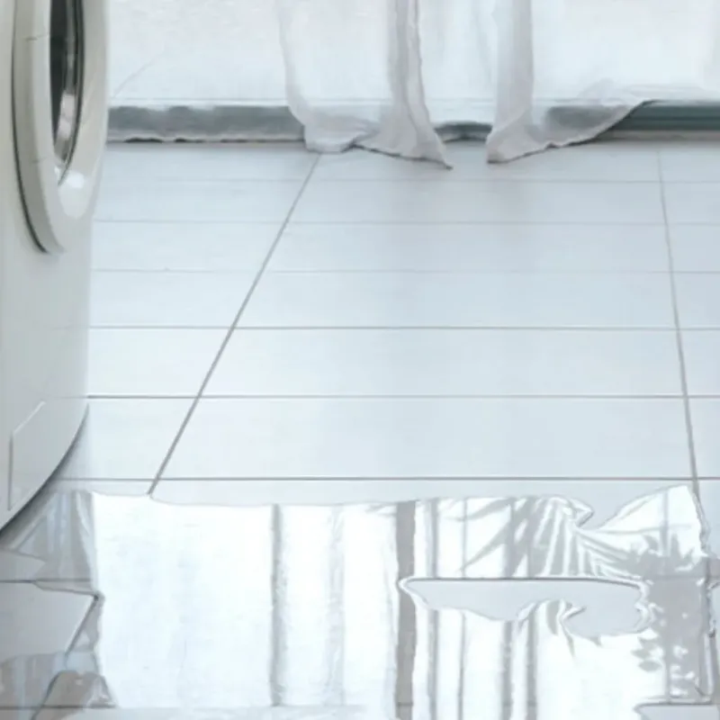Appliance Leak Cleanup in Grandview, IL