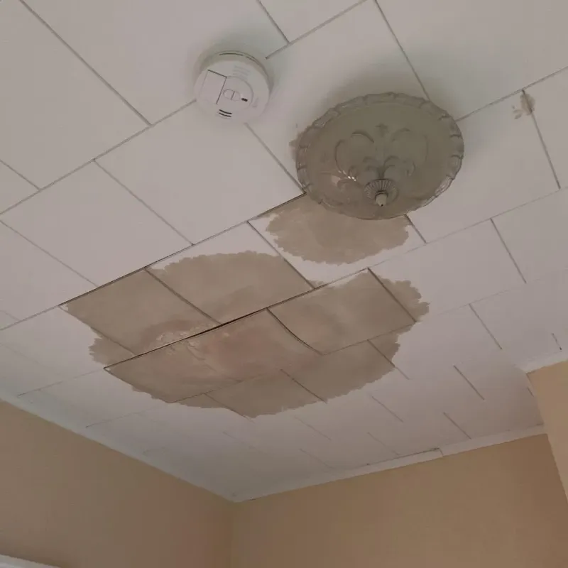 Ceiling Water Damage Repair in Grandview, IL