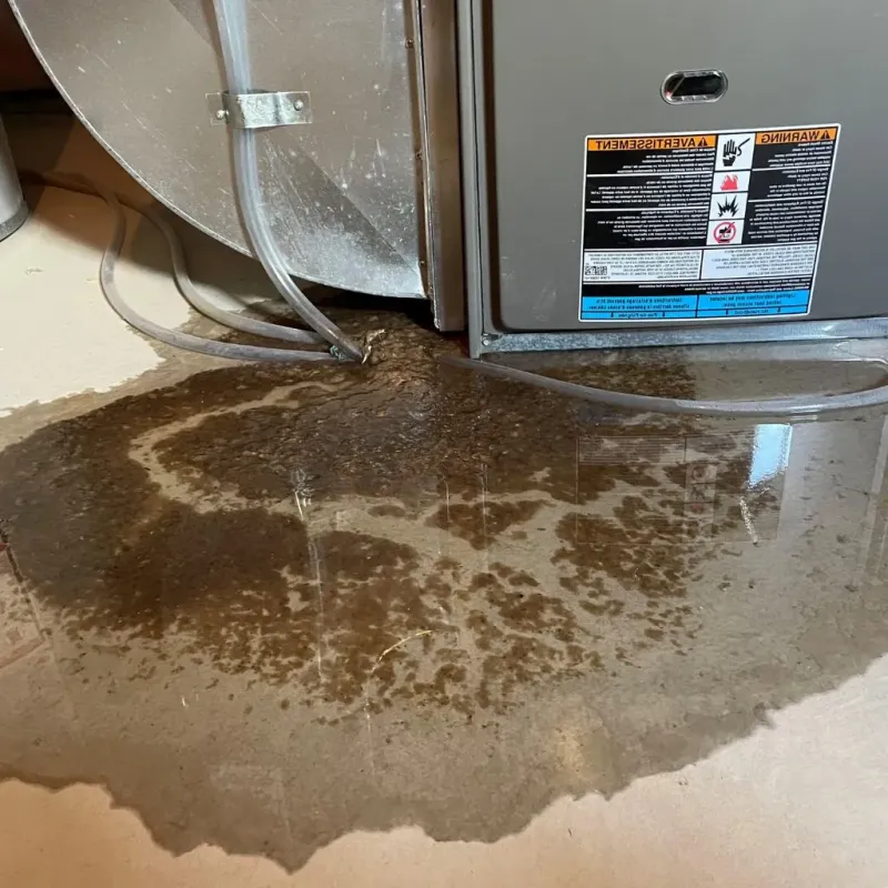 Pipe Burst and Leak Restoration in Grandview, IL