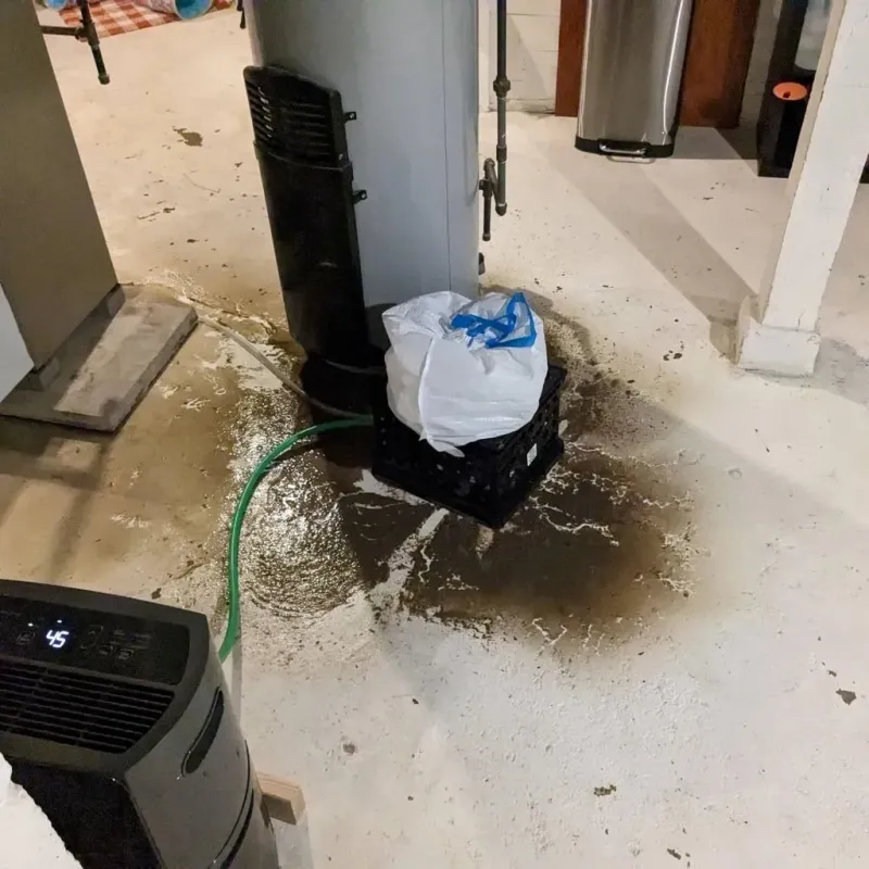 Sewage Backup Cleanup Service in Grandview, IL